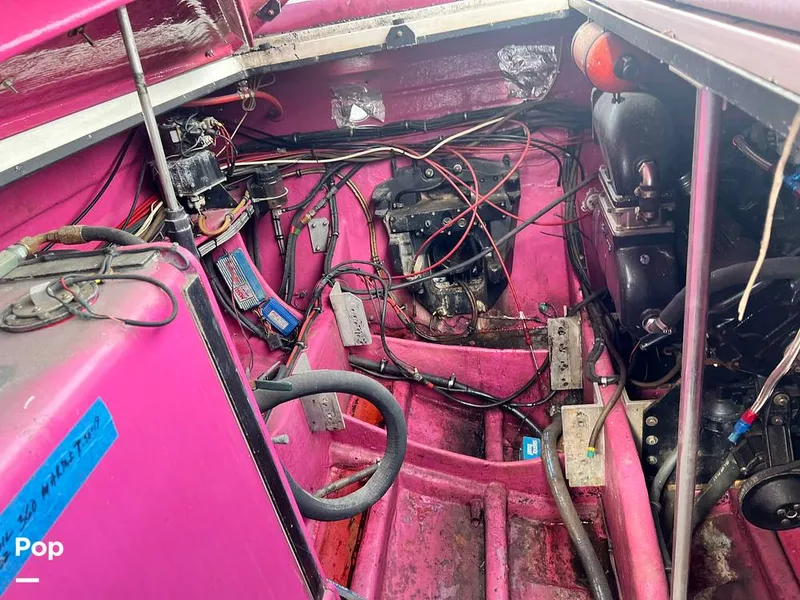 Slide: The Image of Cougar US-1-38' 1989 - 14934115