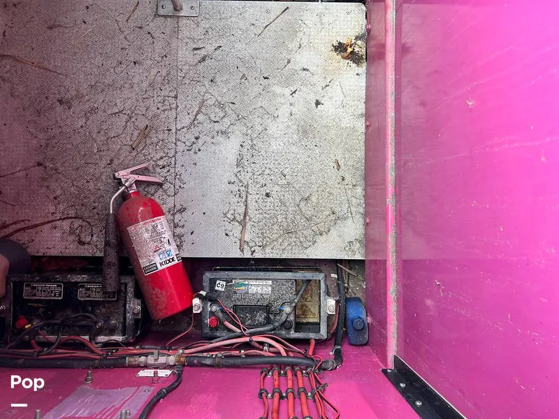 Slide: The Image of Cougar US-1-38' 1989 - 14934117