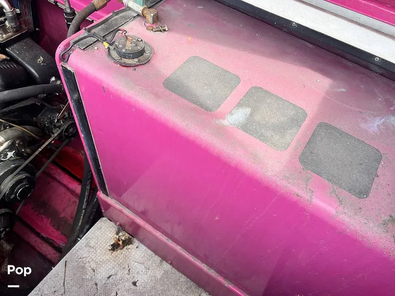 Slide: The Image of Cougar US-1-38' 1989 - 14934118