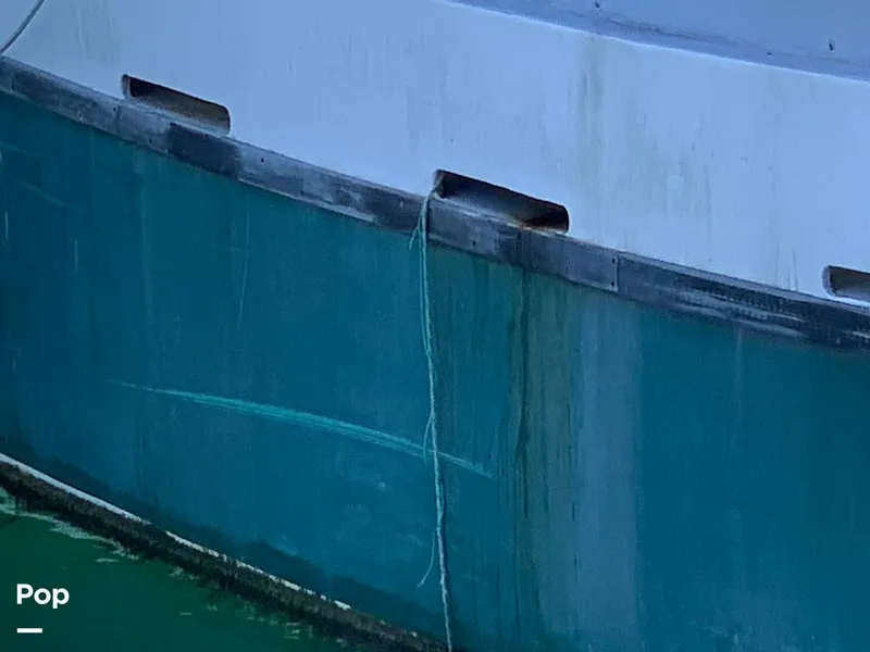 Slide: The Image of 2001 Novi - 8755408