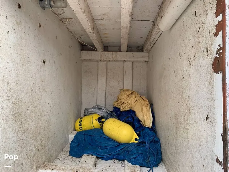 Slide: The Image of Fish Hold - 8755163