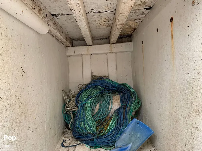 Slide: The Image of Fish Hold - 8755166