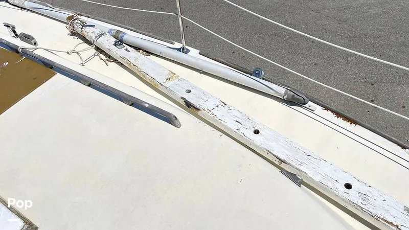 Slide: The Image of Randel Jencks 34'6S 1992 - 8939230