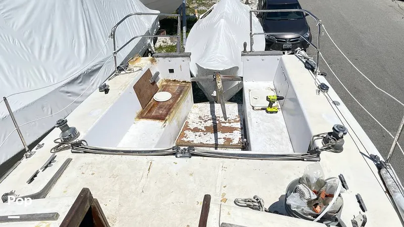 Slide: The Image of Randel Jencks 34'6S 1992 - 8939231