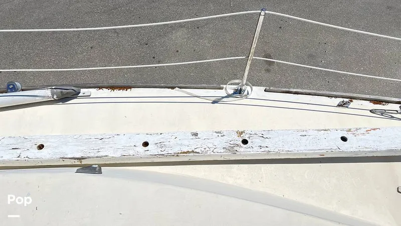 Slide: The Image of Randel Jencks 34'6S 1992 - 8939233