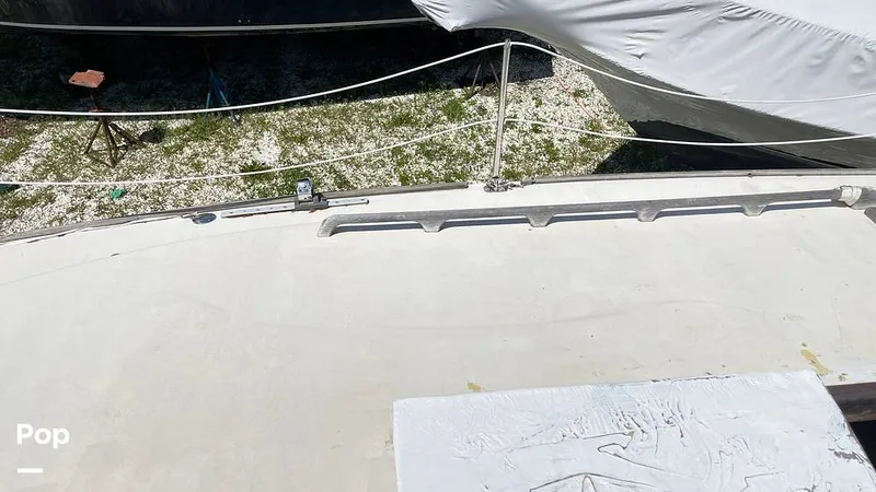 Slide: The Image of Randel Jencks 34'6S 1992 - 8939241