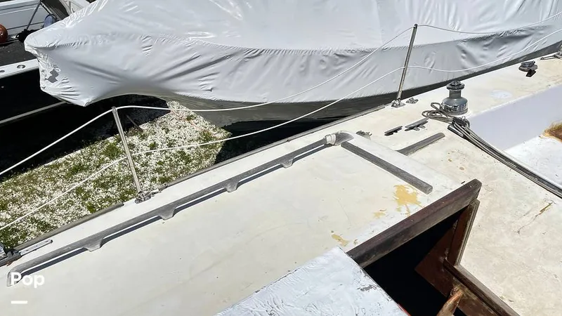 Slide: The Image of Randel Jencks 34'6S 1992 - 8939243