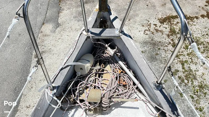 Slide: The Image of Randel Jencks 34'6S 1992 - 8939258