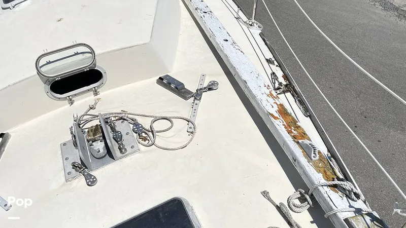 Slide: The Image of Randel Jencks 34'6S 1992 - 8939259