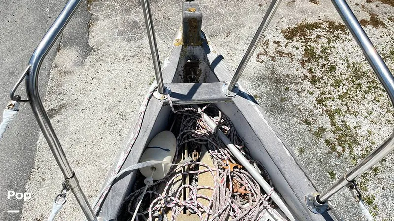 Slide: The Image of Randel Jencks 34'6S 1992 - 8939261