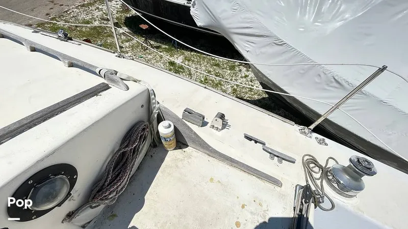 Slide: The Image of Randel Jencks 34'6S 1992 - 8939274