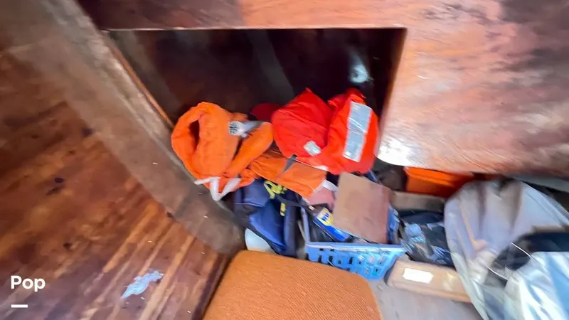 Slide: The Image of Randel Jencks 34'6S 1992 - 8939284