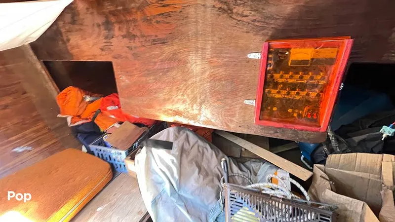 Slide: The Image of Randel Jencks 34'6S 1992 - 8939291