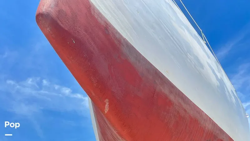 Slide: The Image of Randel Jencks 34'6S 1992 - 8938967