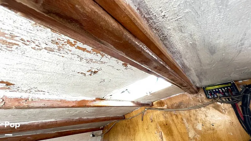 Slide: The Image of Randel Jencks 34'6S 1992 - 8939309