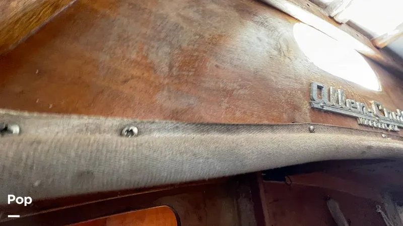 Slide: The Image of Randel Jencks 34'6S 1992 - 8939311