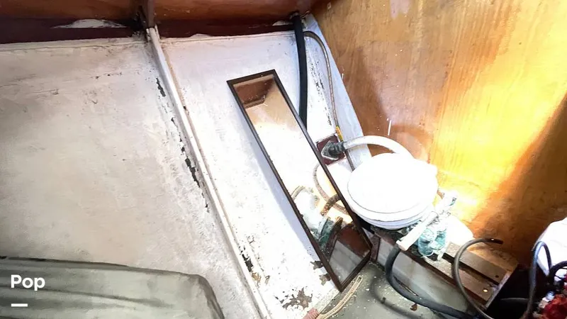 Slide: The Image of Randel Jencks 34'6S 1992 - 8939315