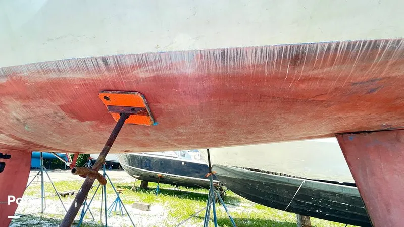 Slide: The Image of Randel Jencks 34'6S 1992 - 8938970