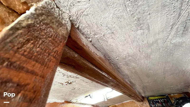 Slide: The Image of Randel Jencks 34'6S 1992 - 8939323