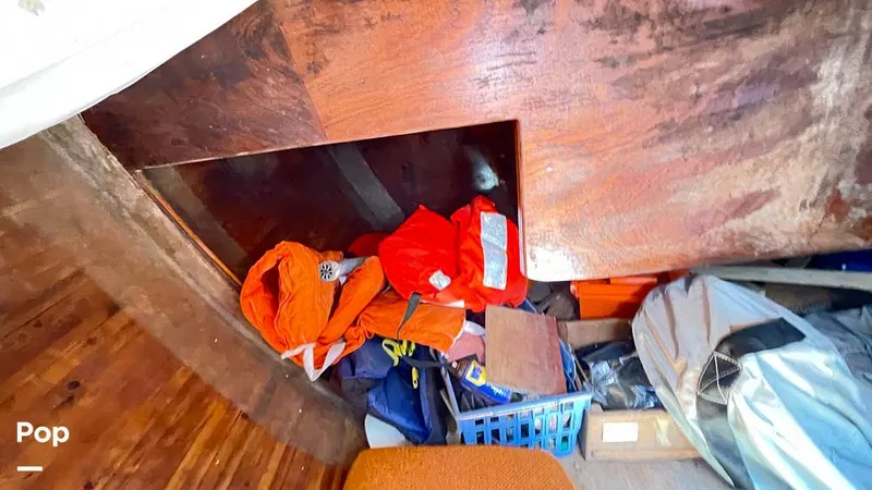 Slide: The Image of Randel Jencks 34'6S 1992 - 8939342