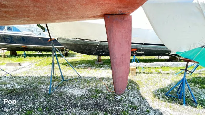 Slide: The Image of Randel Jencks 34'6S 1992 - 8938973