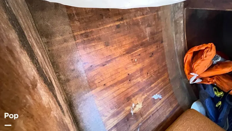 Slide: The Image of Randel Jencks 34'6S 1992 - 8939354