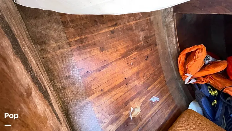 Slide: The Image of Randel Jencks 34'6S 1992 - 8939357