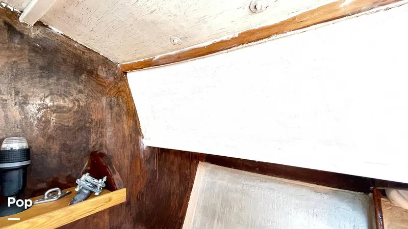 Slide: The Image of Randel Jencks 34'6S 1992 - 8939359