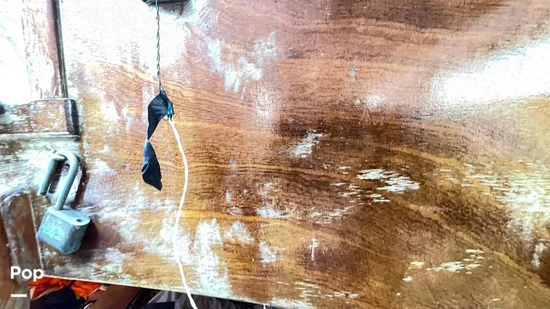 Slide: The Image of Randel Jencks 34'6S 1992 - 8939363