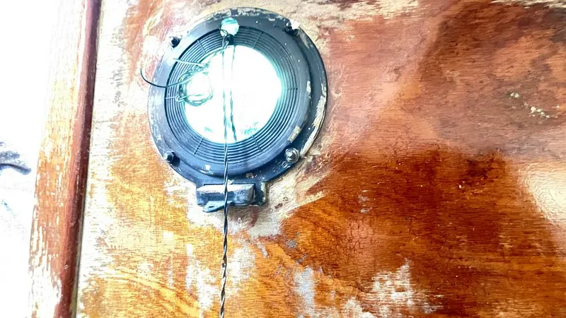 Slide: The Image of Randel Jencks 34'6S 1992 - 8939364