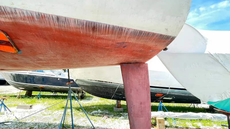 Slide: The Image of Randel Jencks 34'6S 1992 - 8938979