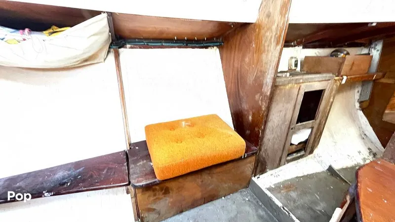 Slide: The Image of Randel Jencks 34'6S 1992 - 8939371