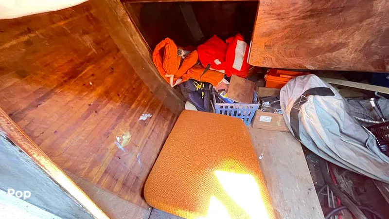 Slide: The Image of Randel Jencks 34'6S 1992 - 8939385