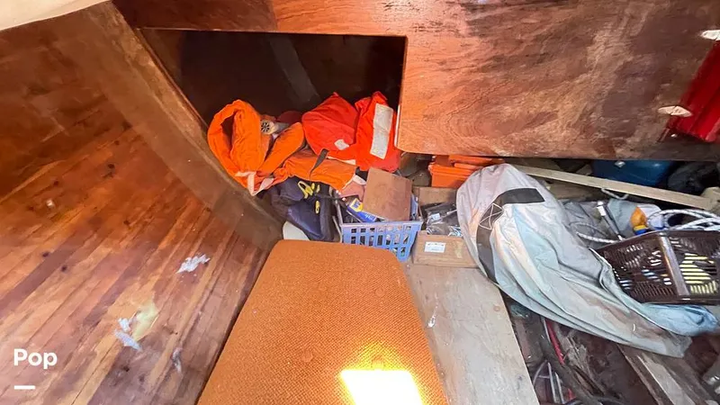 Slide: The Image of Randel Jencks 34'6S 1992 - 8939386