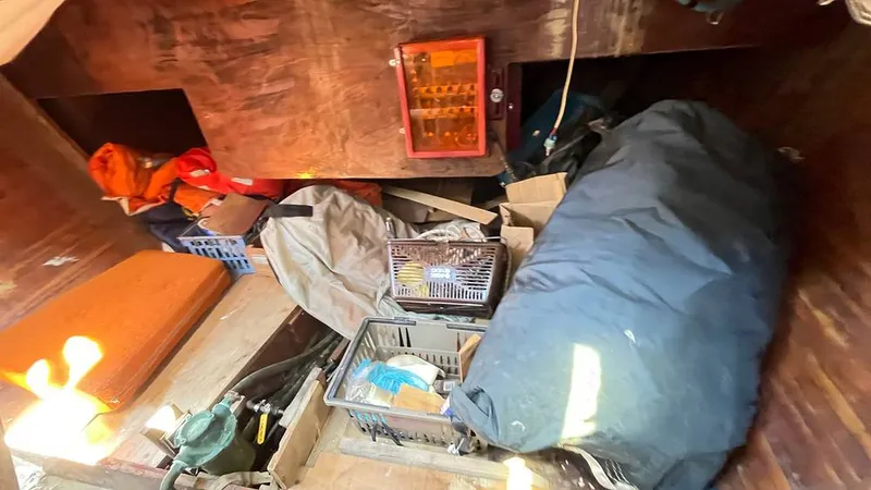 Slide: The Image of Randel Jencks 34'6S 1992 - 8939388