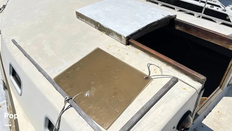 Slide: The Image of Randel Jencks 34'6S 1992 - 8939391