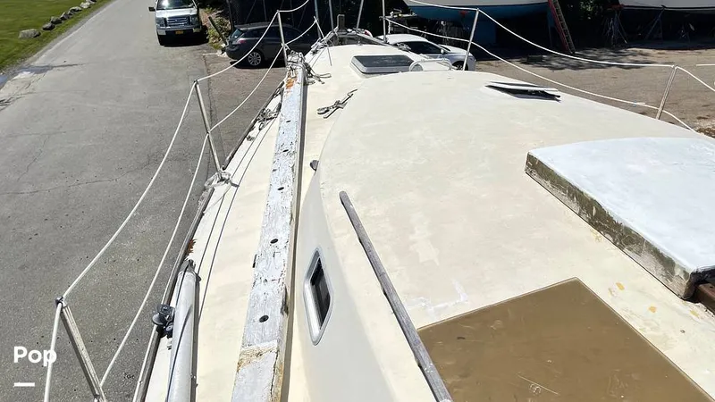 Slide: The Image of Randel Jencks 34'6S 1992 - 8939394