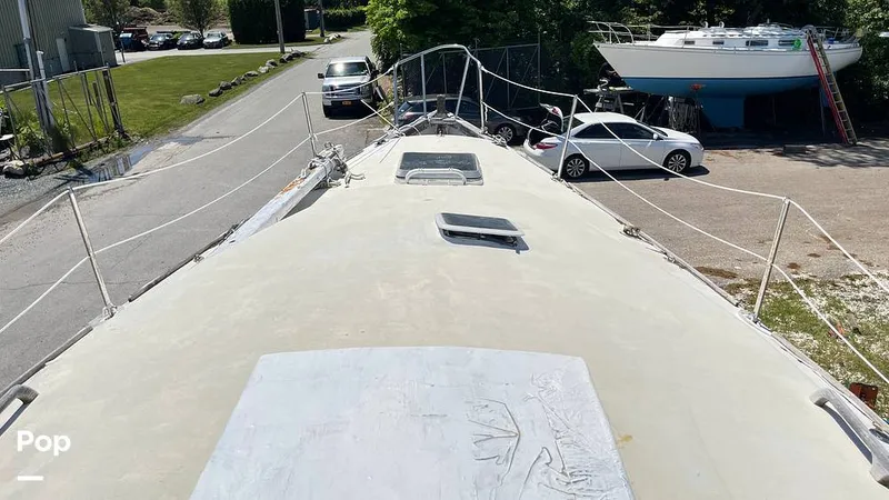 Slide: The Image of Randel Jencks 34'6S 1992 - 8939396