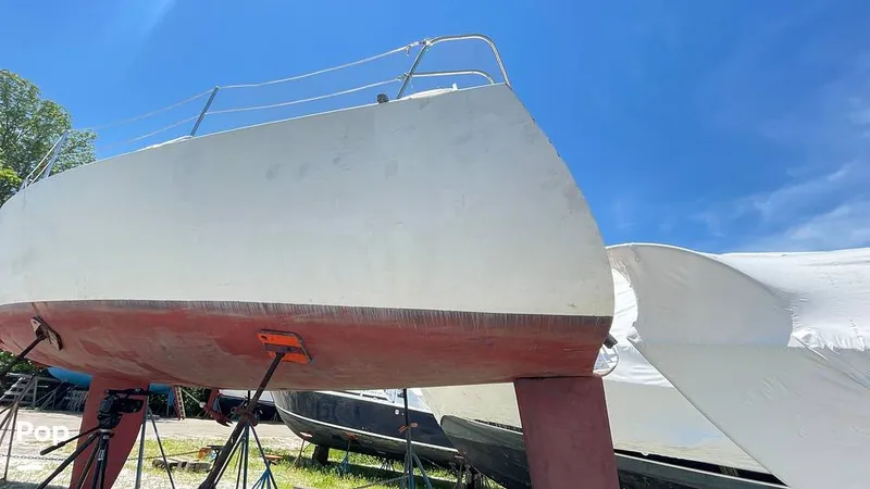 Slide: The Image of Randel Jencks 34'6S 1992 - 8938983