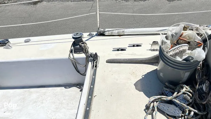 Slide: The Image of Randel Jencks 34'6S 1992 - 8939400