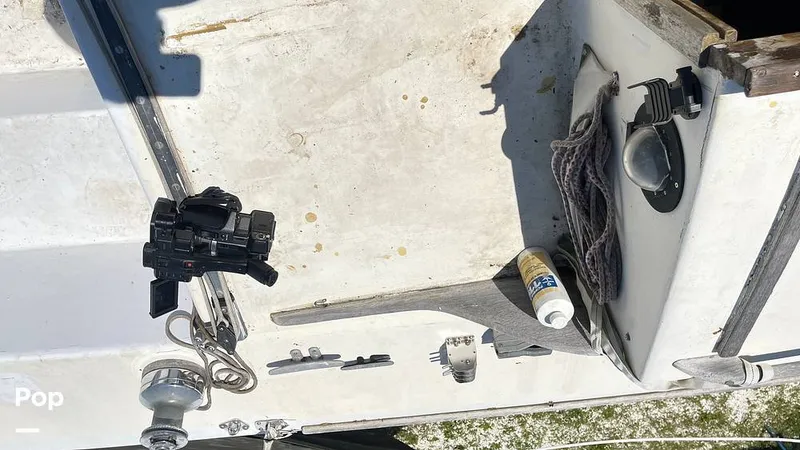 Slide: The Image of Randel Jencks 34'6S 1992 - 8939403