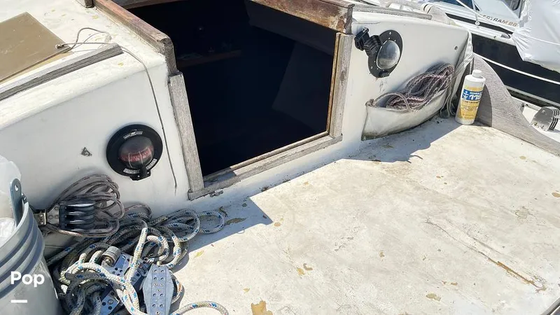 Slide: The Image of Randel Jencks 34'6S 1992 - 8939405