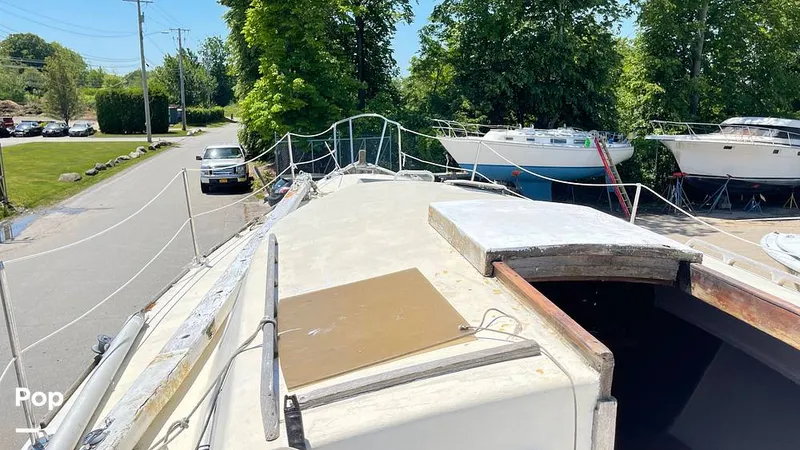 Slide: The Image of Randel Jencks 34'6S 1992 - 8939407