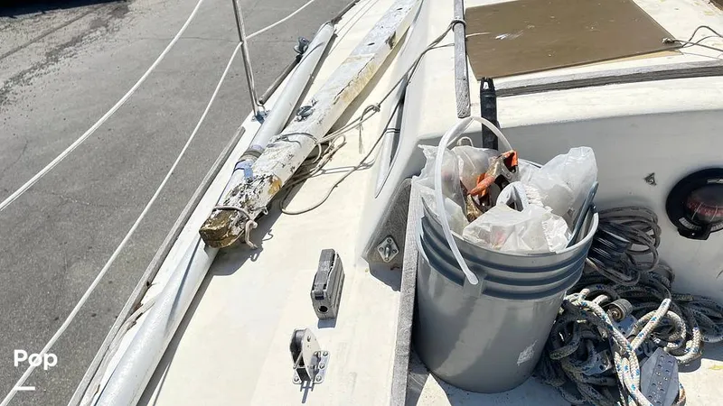 Slide: The Image of Randel Jencks 34'6S 1992 - 8939412