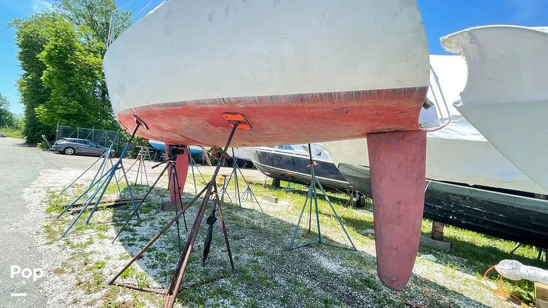 Slide: The Image of Randel Jencks 34'6S 1992 - 8938985