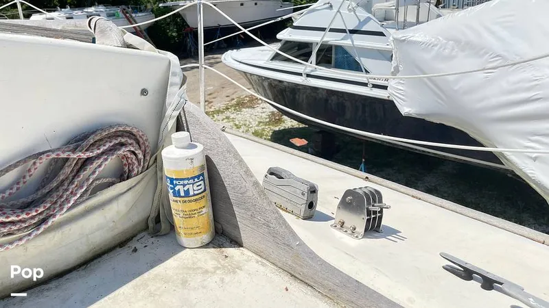 Slide: The Image of Randel Jencks 34'6S 1992 - 8939420