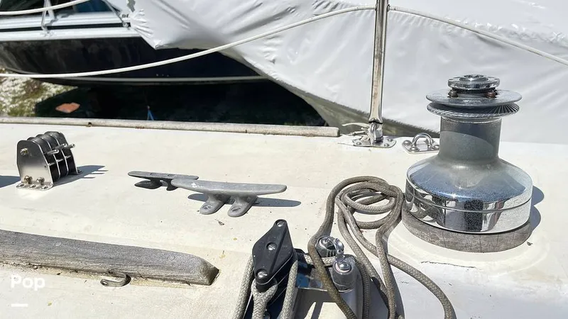 Slide: The Image of Randel Jencks 34'6S 1992 - 8939421