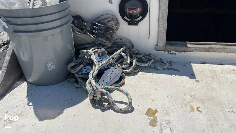 Slide: The Image of Randel Jencks 34'6S 1992 - 8939424