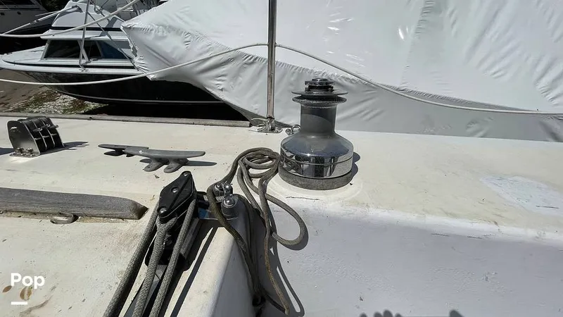 Slide: The Image of Randel Jencks 34'6S 1992 - 8939433