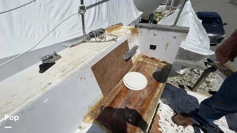 Slide: The Image of Randel Jencks 34'6S 1992 - 8939439